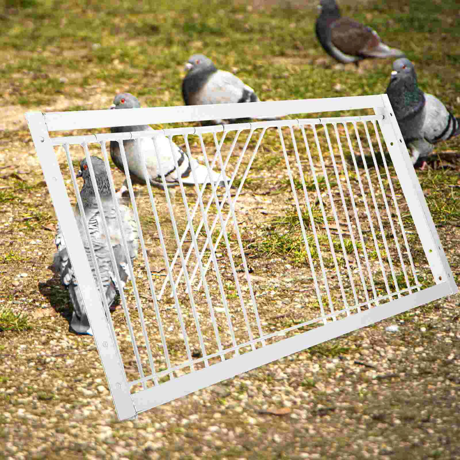 

Racing Pigeon Traps Door Pigeon Birds House Door T-trap Entrance House Door