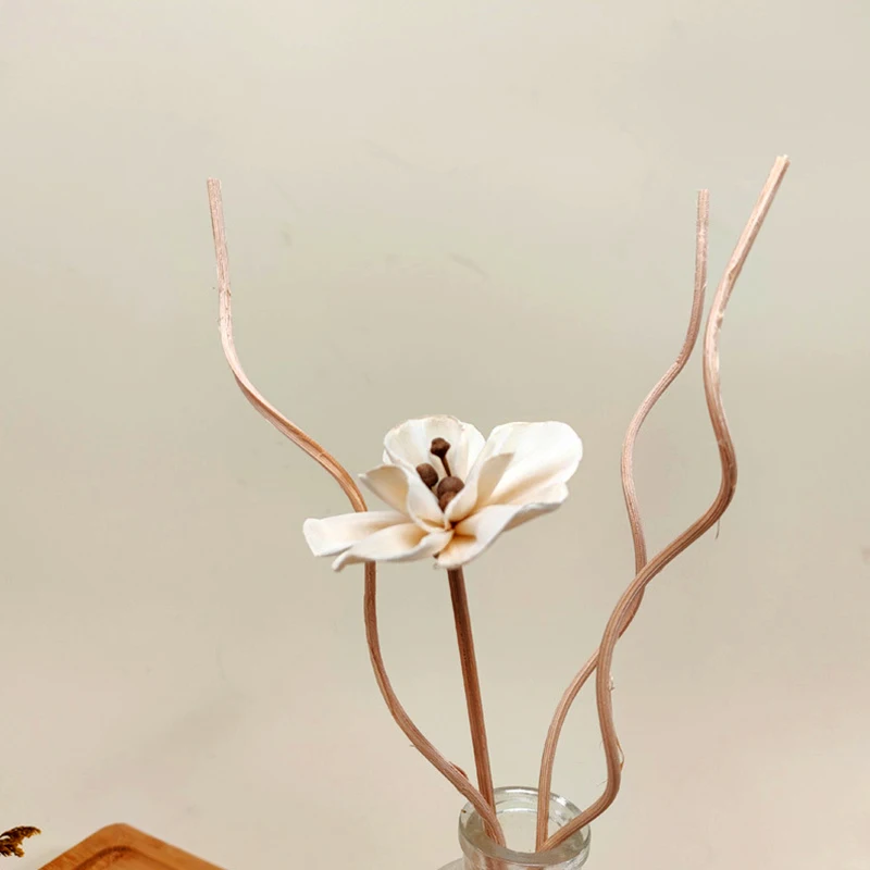 20 шт. длинные волнистые трости из ротанга