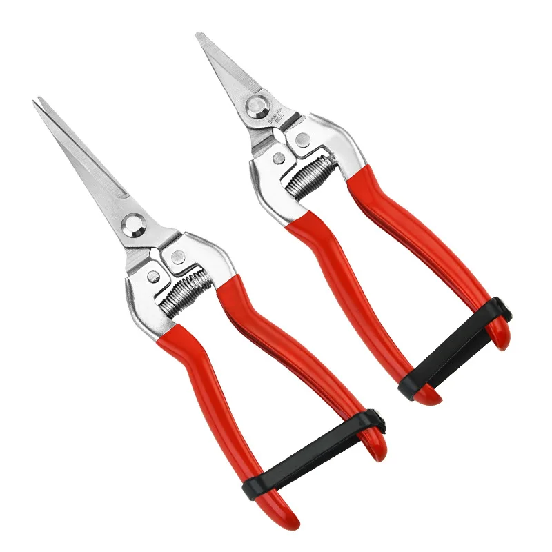 Садовые ножницы из нержавеющей стали для обрезки фруктов и винограда