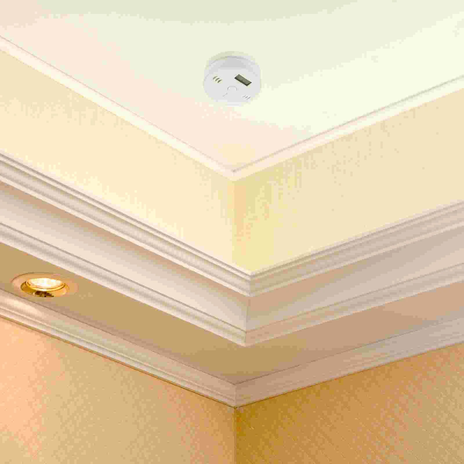 Рисунок 6 - Переносное оборудование для обнаружения утечки газа Co