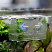 40hotaquarium fish tank guppy double breeding breeder rearing trap box hatcherys1