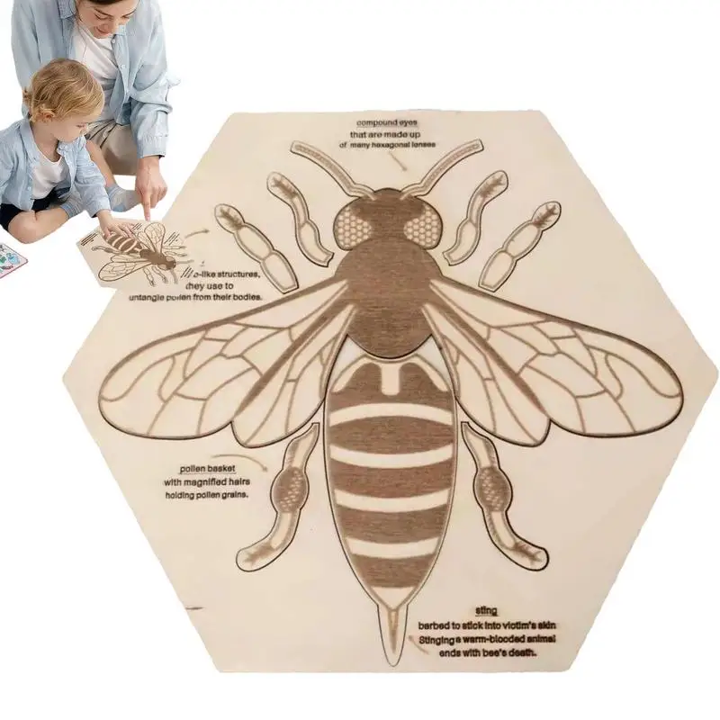 

Puzzles For Kids Ages 3-5 | Bee Anatomy Jigsaw Puzzle For Toddlers | Bee Structure Recognition Children Preschool Learning Educa