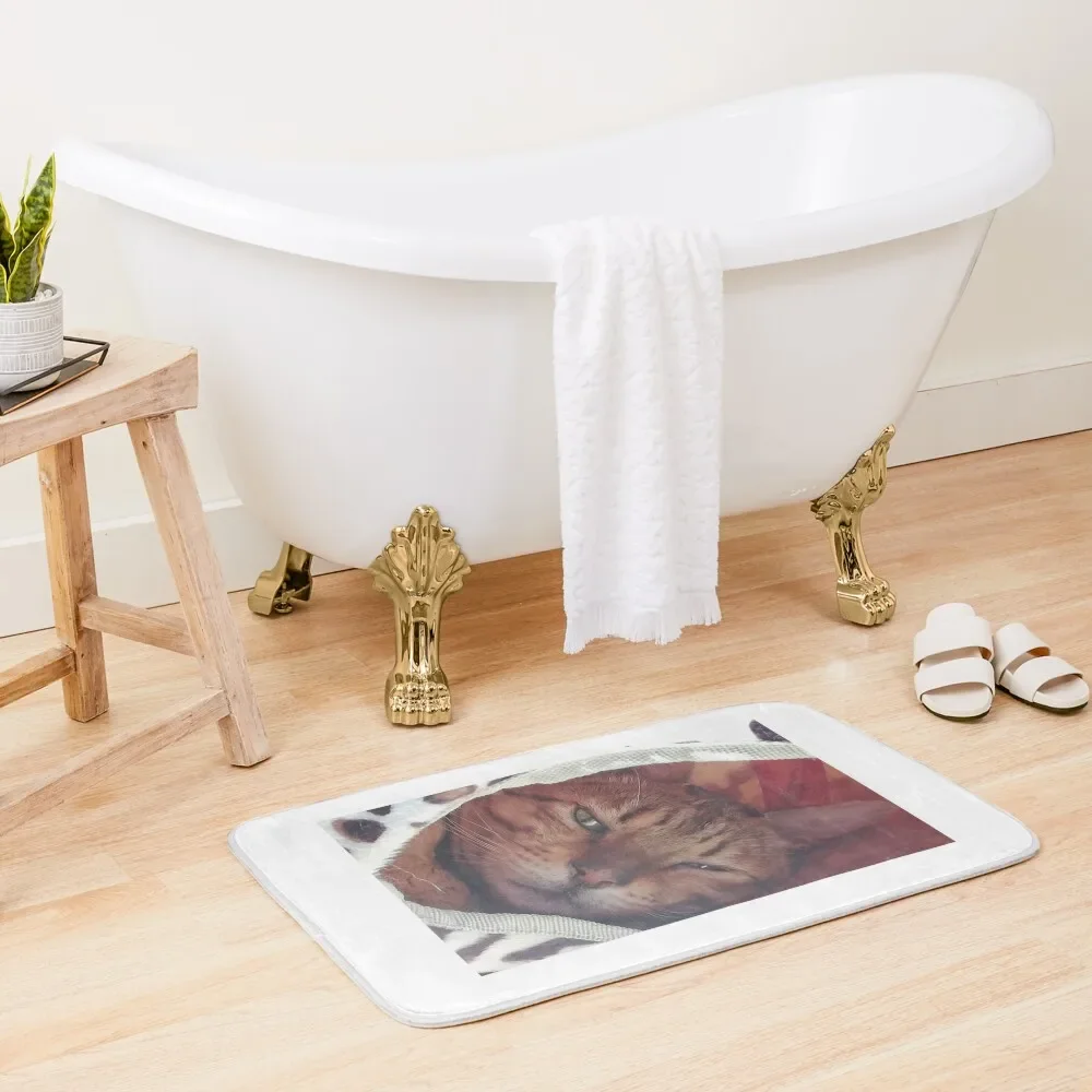 Bengo chillax Коврик для ванной Ковер дома Вход Спальня Кухонный ковер Коврики спальни