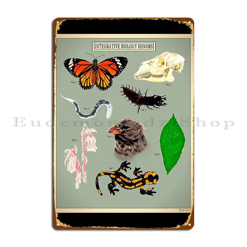 Uiuc Ibh Merch дизайн Angstyweeaboo металлический плакат табличка вечерние