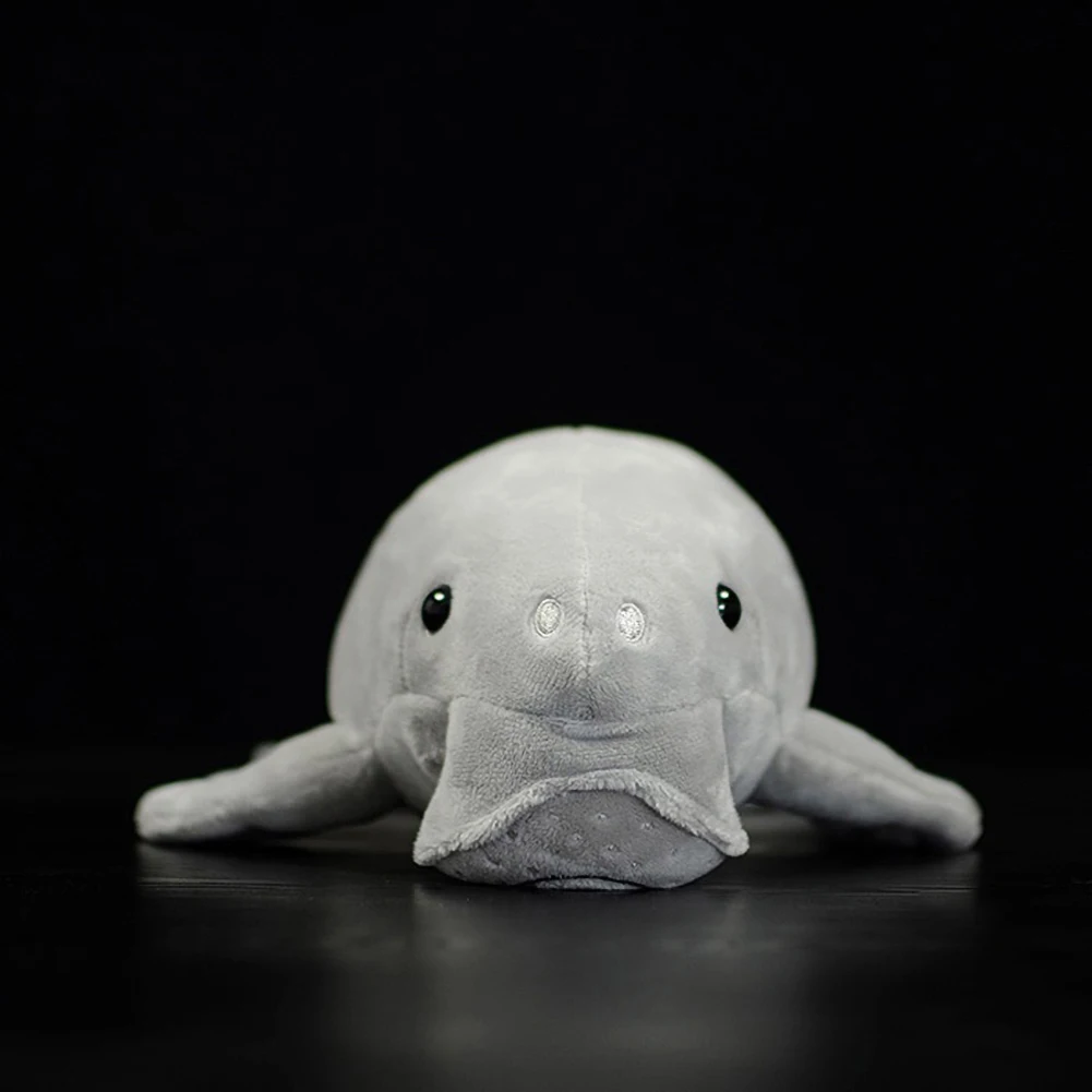 Фото 36 см новый Dugong Dugon мягкие плюшевые игрушки ламантин кукла моделирование приятные реалистичные Dudongidae океанские животные модель подарок №3