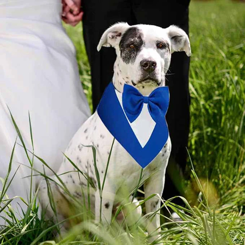 Смокинг для собак официальный собачий Свадебный ошейник с галстуком-бабочкой