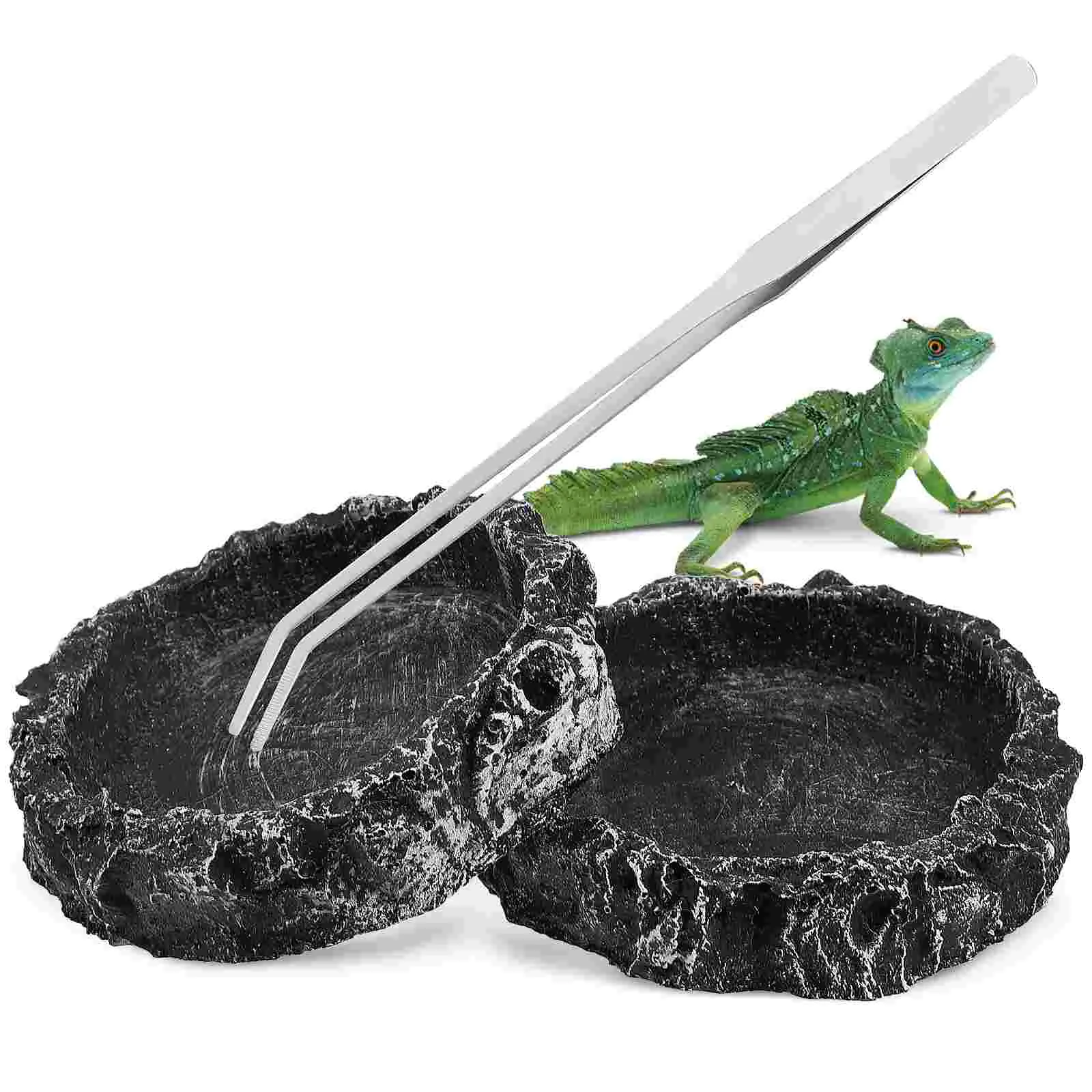 

Bowl Water Reptile Tortoisebowls Feedersreptiles Dish Bearded Dragon Pet Gecko