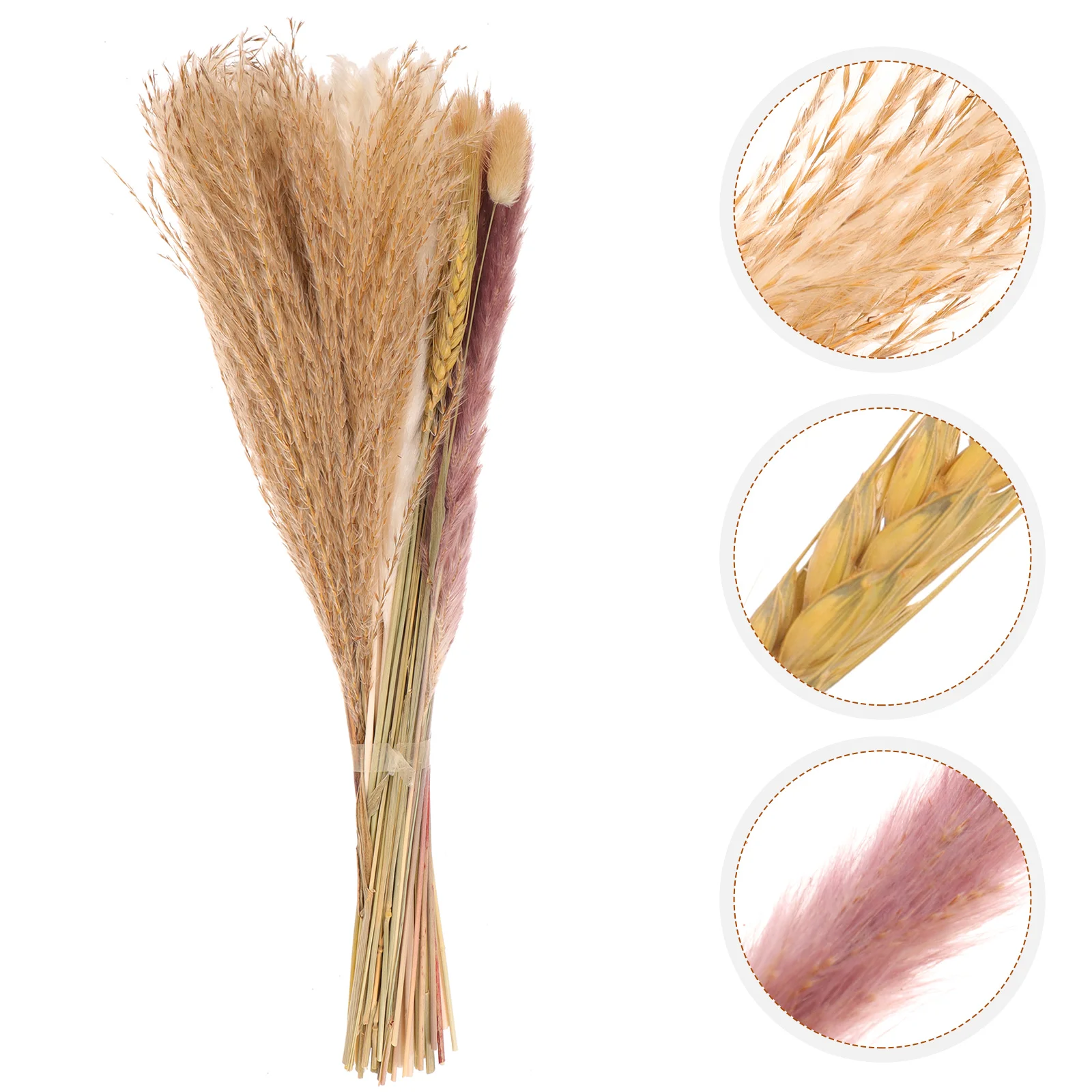 

Driedpampas Reed Diy Decor Arrangement Flowers Stems Faux Tails Vase Bouquets Decors Talladorn Ornament Natural Floor Prop Bunny