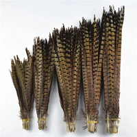 wholesale different size natural pheasant feather 20 55cm ringneck pheasant tail feather for weddingdressdiy decoration