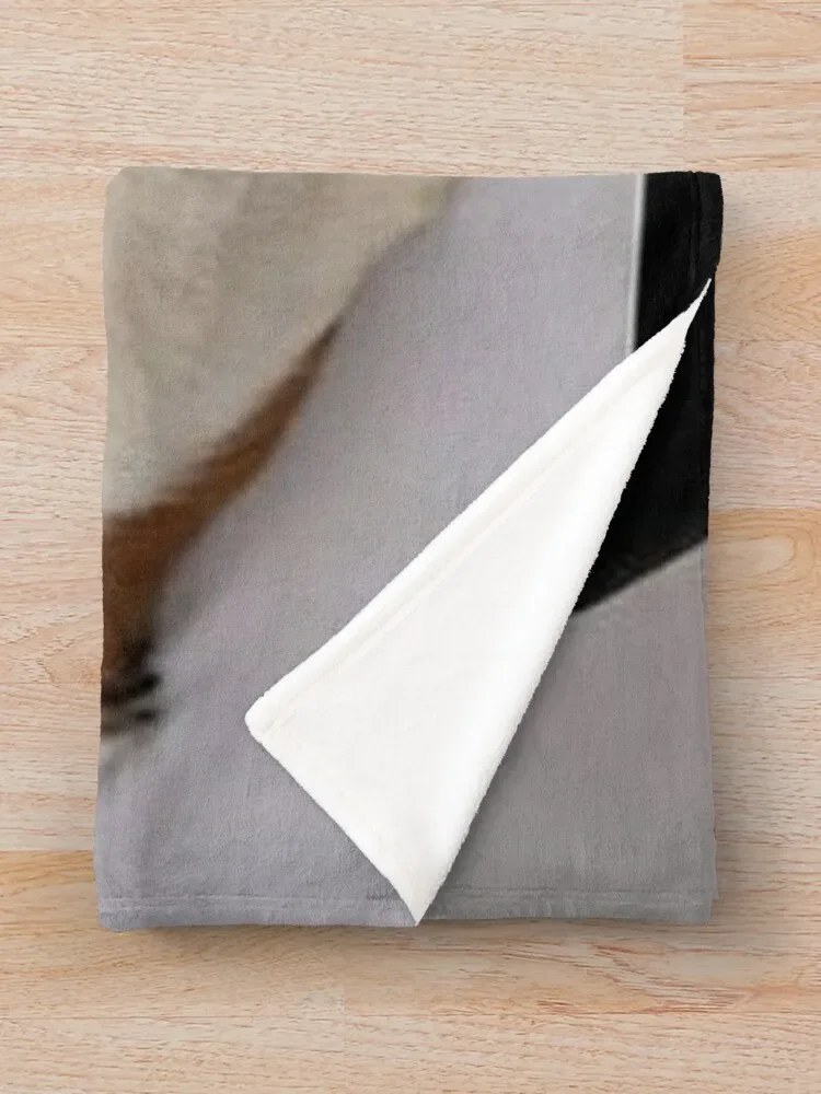 Морская свинка а?? Симпатичная коллекция Модель 21 Одеяло Зимние кровати Одеяла