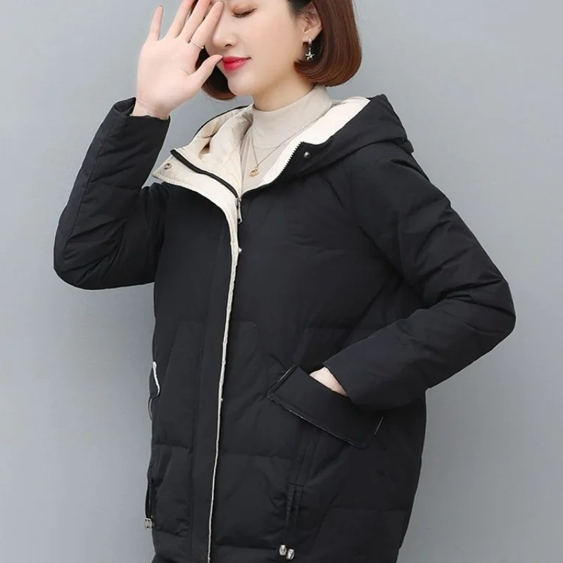 Cotton-padded Women 2023 New Winter Long Down Cotton-padded Jacket Korean Version of Loose Hooded Padded Cotton-padded Jacket