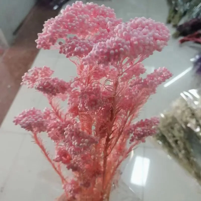 

50g Natural Millet Fruit Dried Flower Artificial Flowers Living Room Decoration Wedding Gift For Guest Wedding Bridal Bouquets