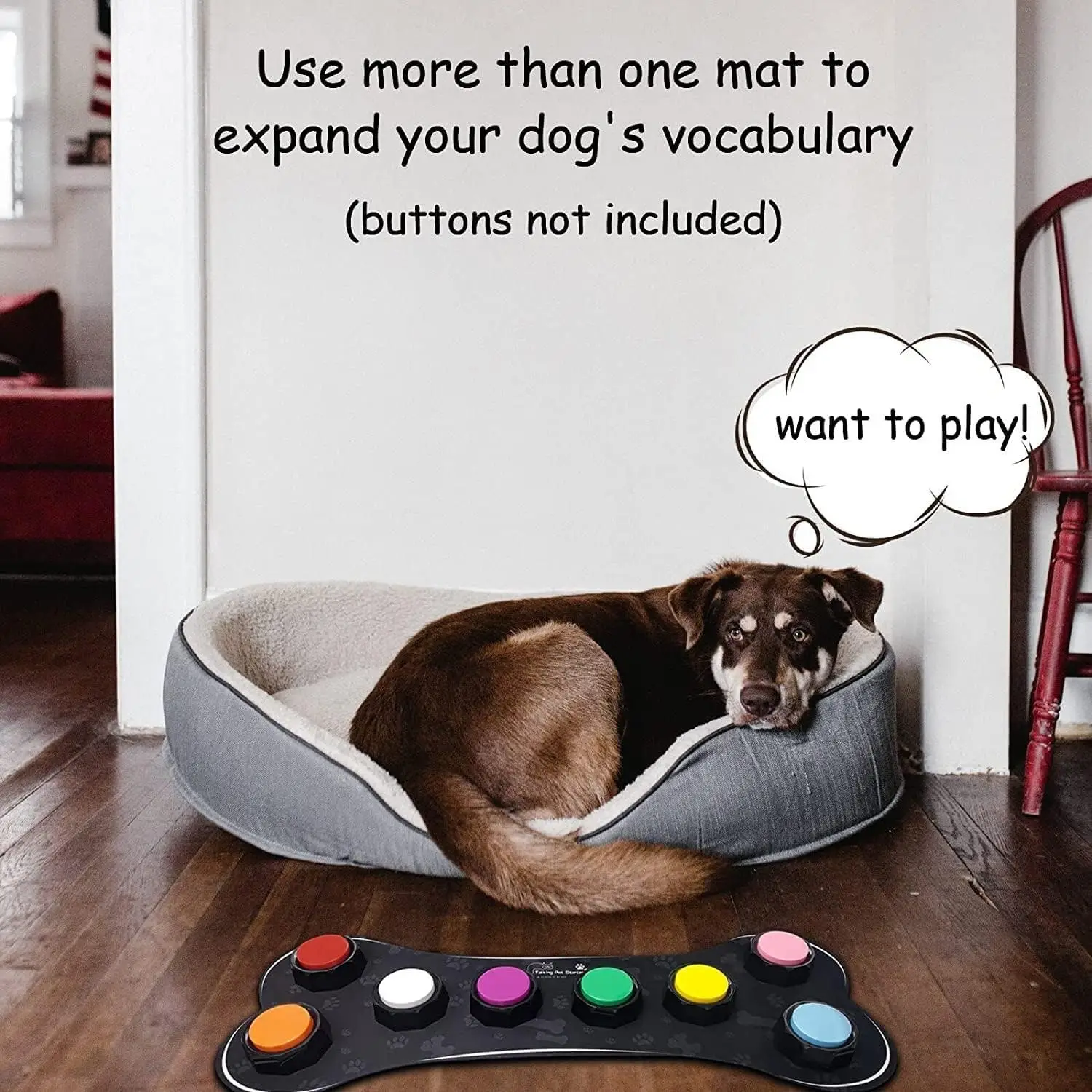 Cena RIBOSY Szkolenia Psów Nauka Języka Pies Przycisk Mat, Komunikacja Dla Zwierząt Czarna Guma Powierzchnia Wodoodporna Mata Z Naklejką