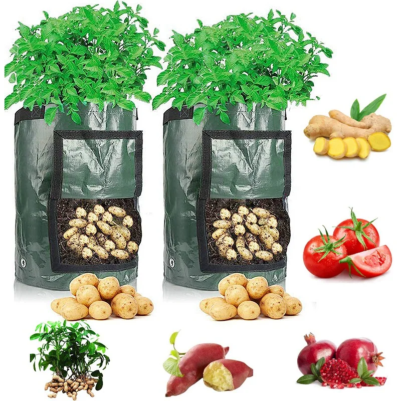 

PE Vegetable Onion Planting Bag Thickened Garden Carrot Taro Peanut Plant Pot for Indoor Outdoor Balconies Garden Pots