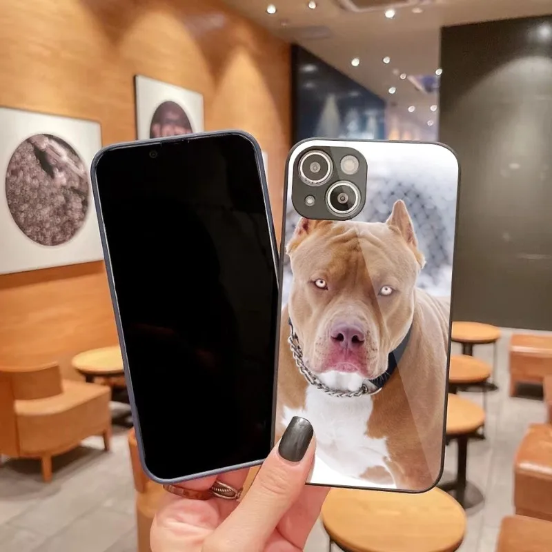 

Чехол для IPhone 14 13 12 11 Pro Max X XR XS 8 7 Plus