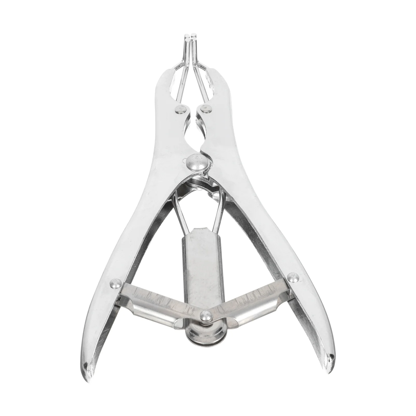 

Balloon Tool Filling Stuffing Expansion Machine Sequins Pliers Opening Bander Expanding Opener Plier Expanderballoons Clamp