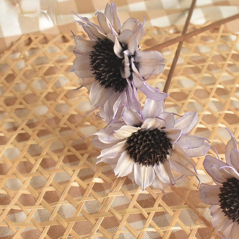 

Dutch Chrysanthemum Dried Flowers Art Manual Materials Plant Immortality Simulation Ornaments Photo Props Home Decoration