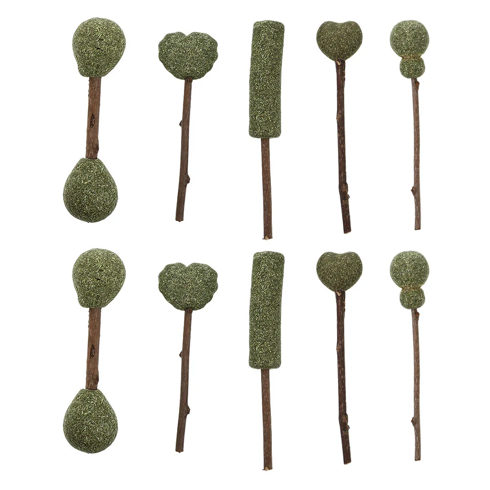 

10Pcs Natural Catnip Sticks Catnip Cat Snacks Catnip Catnip Lollipops for Train Gift Indoor Outdoor
