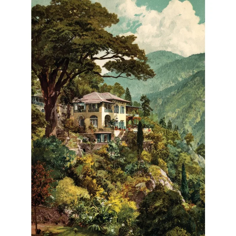 

Настенная картина "Винтажный ботанический джунгли" на холсте