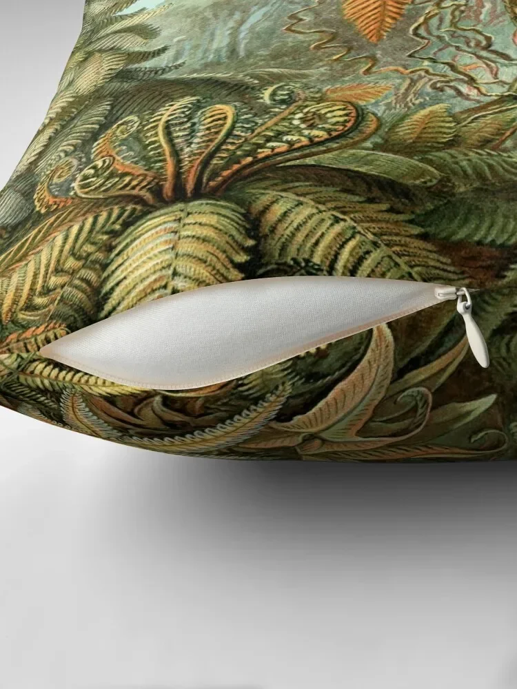 Диванная подушка Ferns-ningbo Haeckel наволочки для диванных подушек рождественские