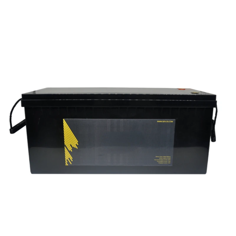 

China supplier Seplos solar storage S12300 12v 300ah deep cycle lithium battery for electric bumper boat with 12v charger