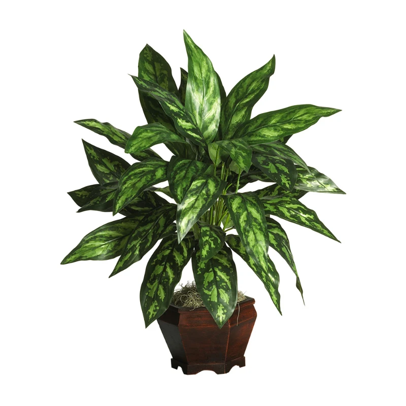 

Silver King with Wood Vase Silk Plant Green