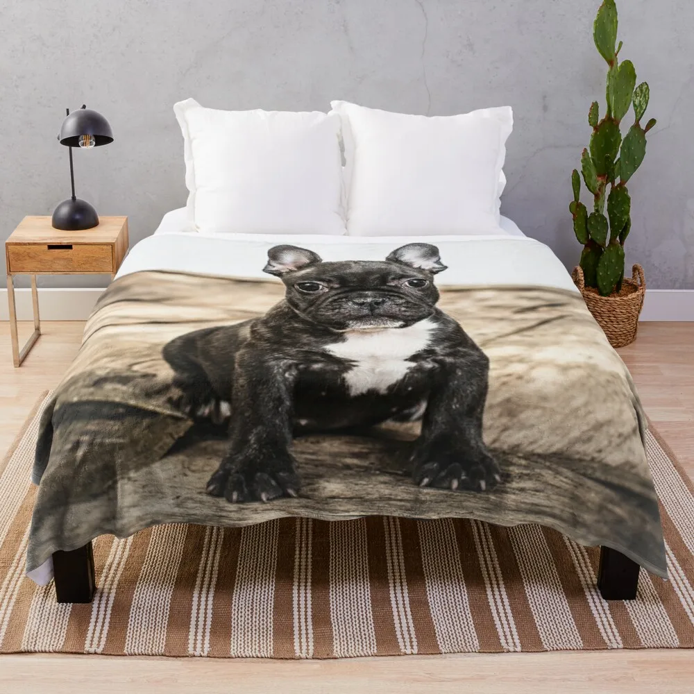 

French bullodg puppy Throw Blanket Soft Plush Plaid Blanket Fluffy
