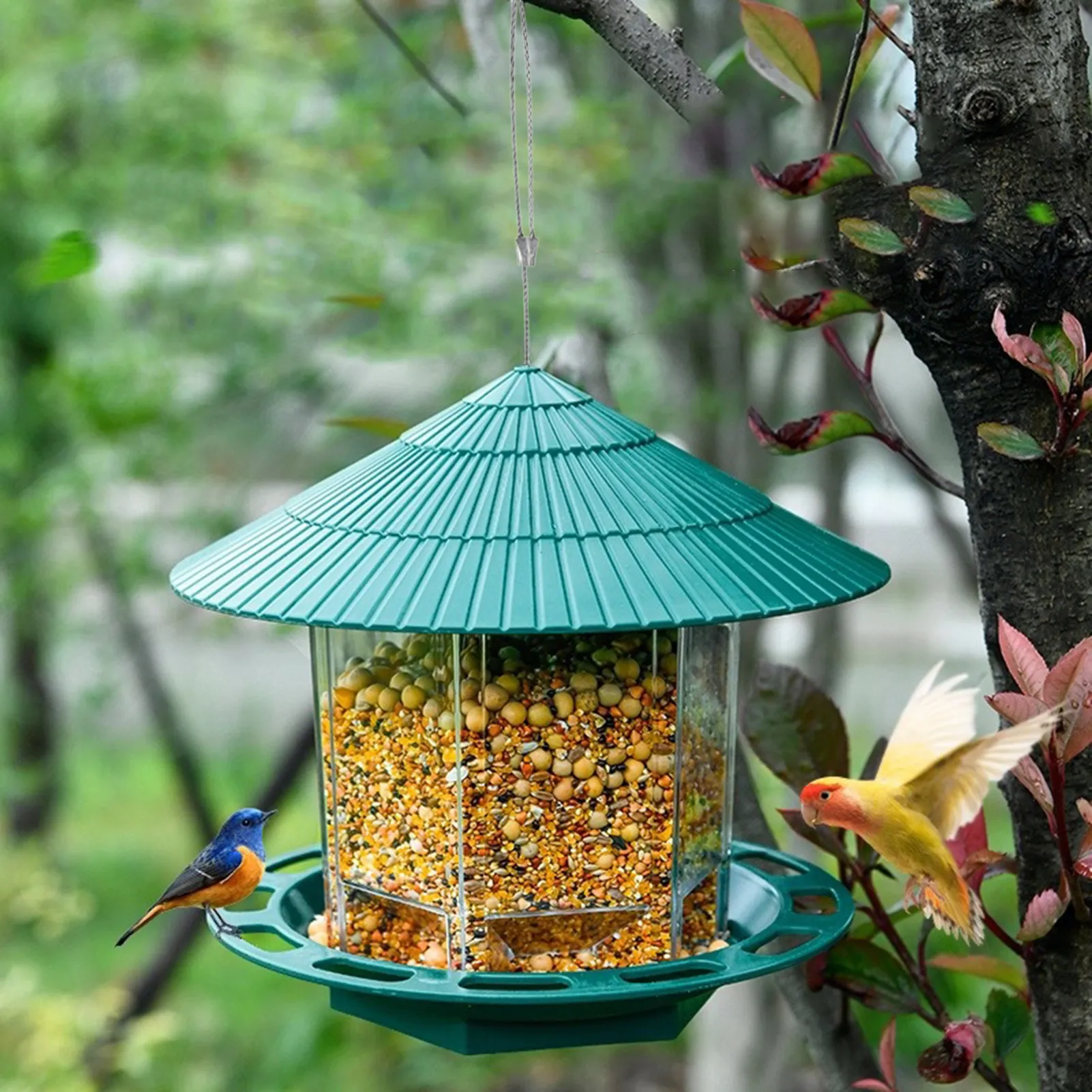 

Hanging Bird Feeders Squirrel Proof Wild Bird Feeder For Outdoor Hanging Hummingbird Feeders For Outside Outdoors Cardinals