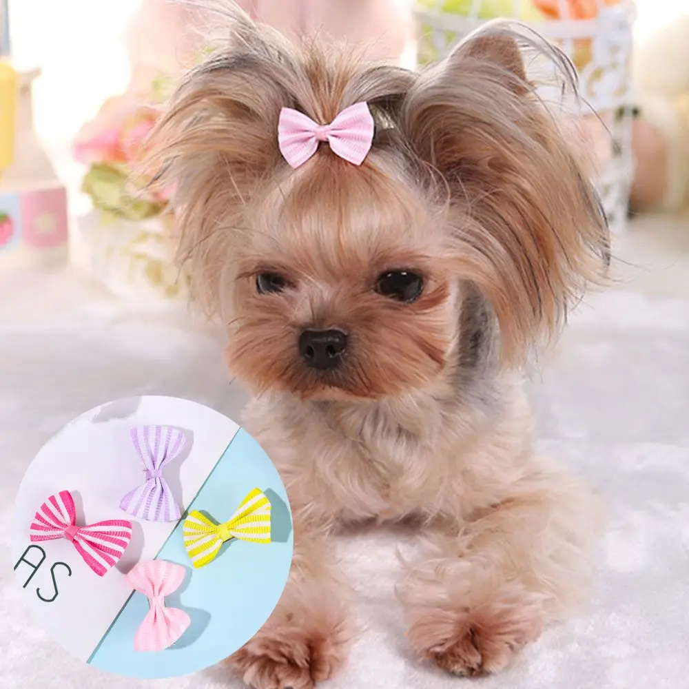 

Hair Accessories Pet Dog Sweet Puppy Butterfly Bows Bow Hairpins Hair Clips Hair Barrette