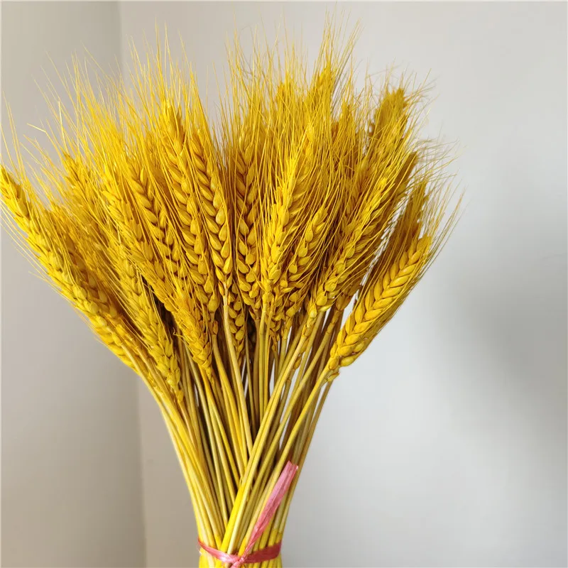 

100Pcs Natural Dried Wheat Ears Bouquet Real Dried Flower Bouquet Wedding Party Flower Decoration Simulation Flower Party Decor