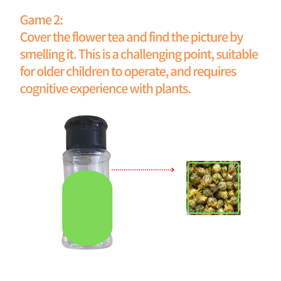 Детский сад научная область угловая игрушка пластиковая Olfactory бутылка трубка