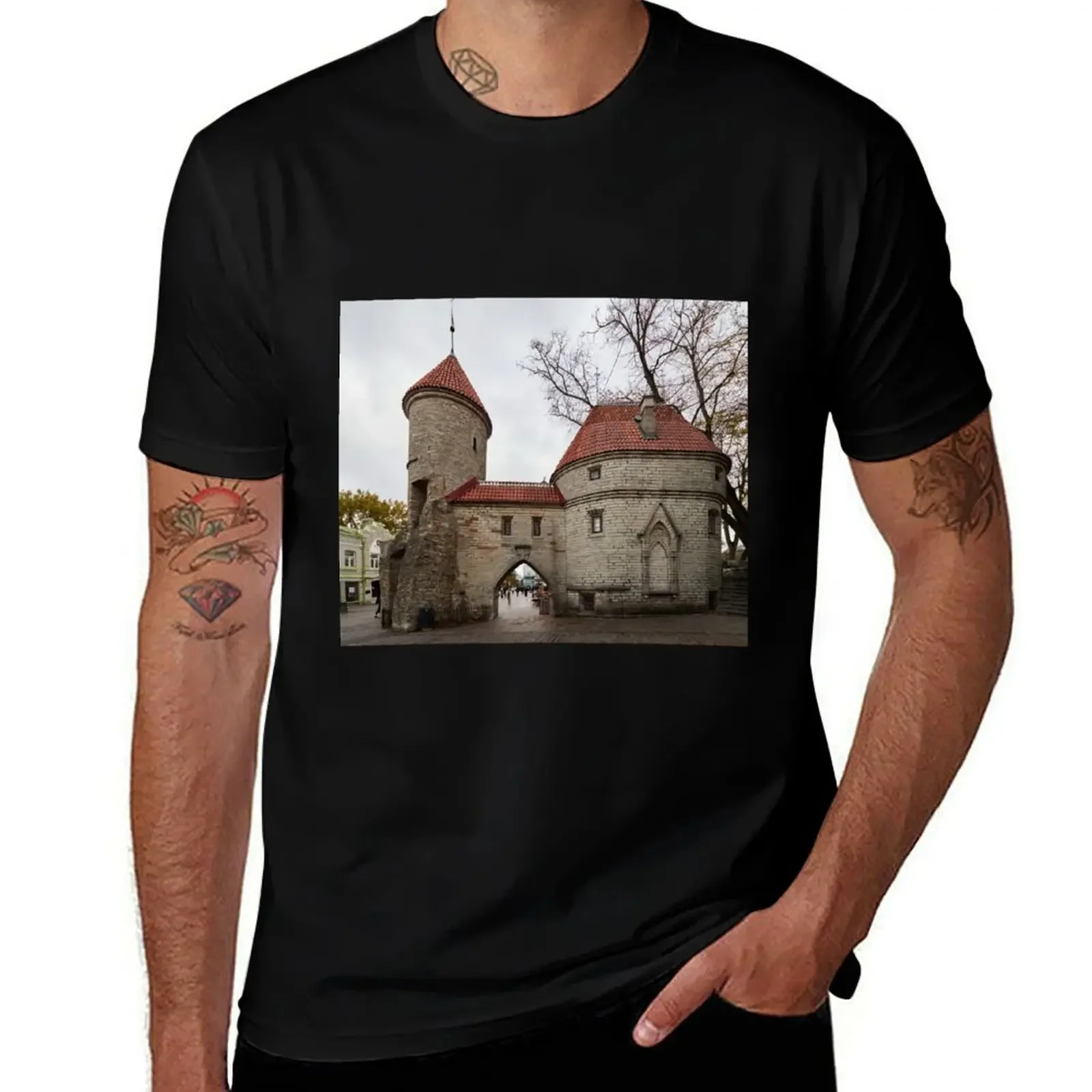 Мужская футболка с принтом &quotворота вирю&quot