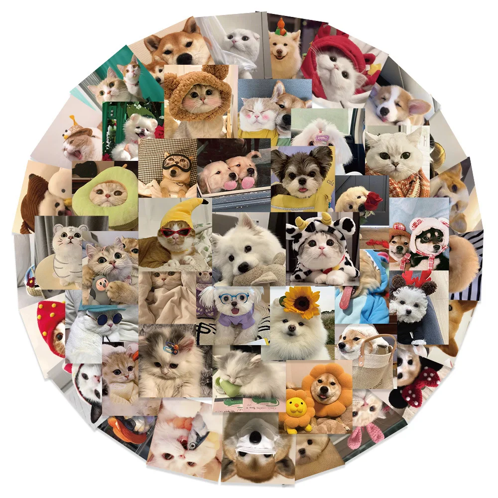 10/30/53pcs Kawaii Dog Cat Stickers Cute Cartoon Decals For Phone Notebook Phone Laptop Bike Funny Animals Kids Sticker DIY Toy