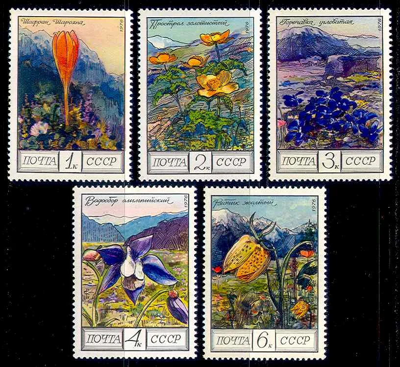 

5Pcs/Set New USSR CCCP Post Stamp 1976 Caucasus Mountain Flowers Postage Stamps MNH