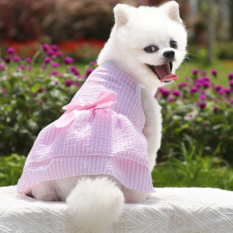 Белое кружевное свадебное платье принцессы собаки крутые сетчатые платья для