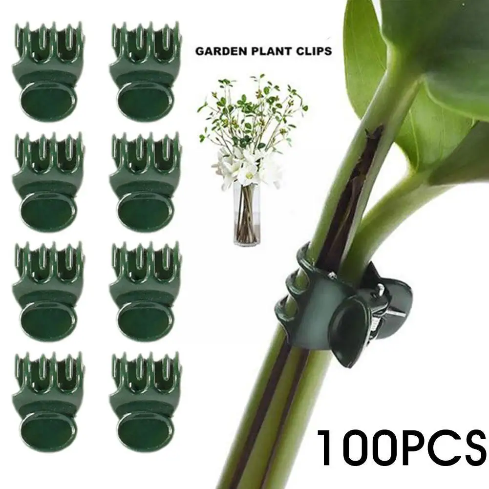 

Plant Climbing Wall Clips Vine Buckle Hook Flower Garden Plant Clamp Clamping Upright Support Rattan Grow Clips B P6p0