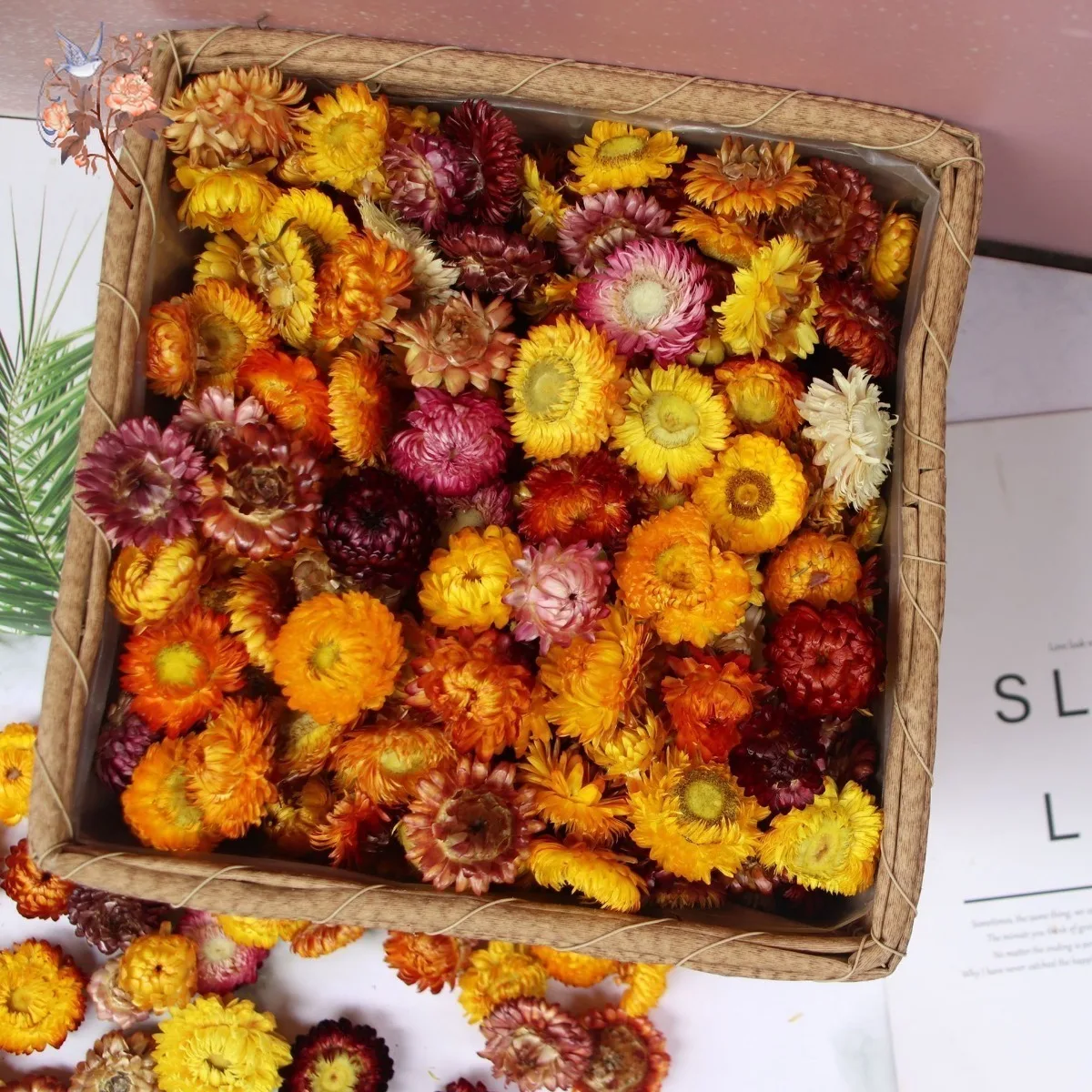 מאגר הקופונים הסודי של עליאקספרס! 300+ קופונים למוצרים מבוקשים! 1575 S1d1cb46d1d98460b99df92e9d3790ce7V