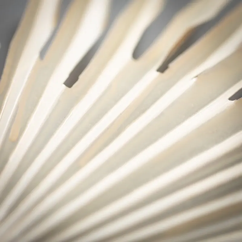 

Cream Fan Palm Leaf, Cream