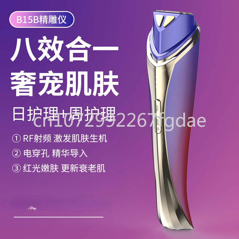

Sculpture Instrument Essence Introducer Handheld Electronic Beauty Instrument