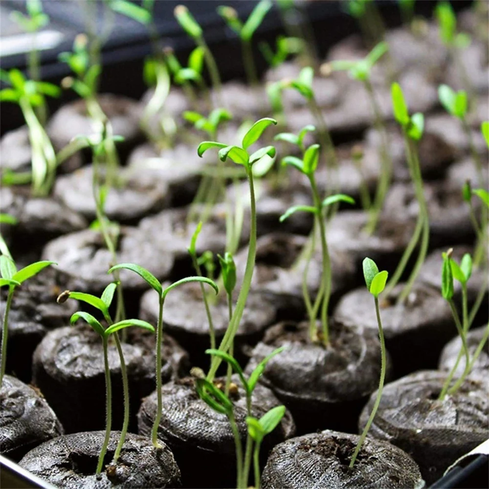 200-20шт. 3см почвы для питомника, цветов, сеянцев, торфяных таблеток для посадки растений в домашнем садоводстве, теплице, горшках инструмента.