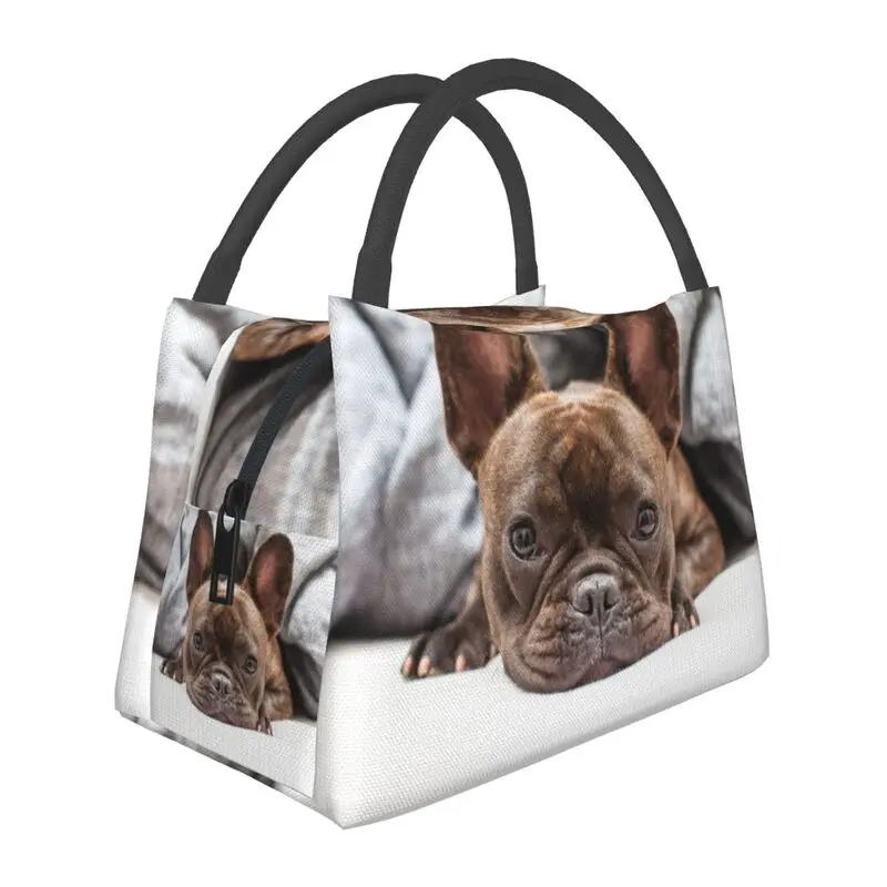 

Hand-held insulated refrigerated lunch bag is portable, stylish and simple, suitable for picnics