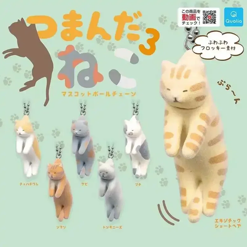 Buchi Roest Mascotte Schattige Exotische Korthaar Somali Tonkinese Pluizige Flocky Pinch New