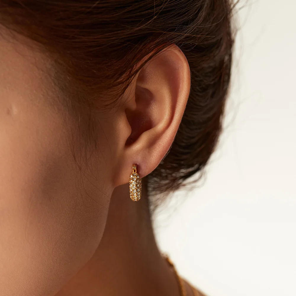 Stainless Steel PVD 18K Gold Plated Tarnish Waterproof Zircon Crystal Twist Hoop Earrings For Woman Jewelry Wholesale INS Trendy