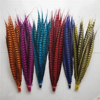 wholesale 20pcs original natural lady amherst pheasant feathers 23 28inch58 70cm decorative performance accessories carnival