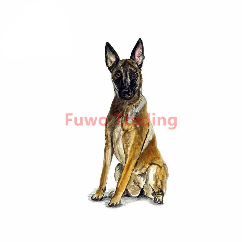 

Fuwo Trading Personality Car Stickers for Belgian Shepherd Malinois Police Rescue Guard Dog Graphics Funny Bumper Wall PVC Funny