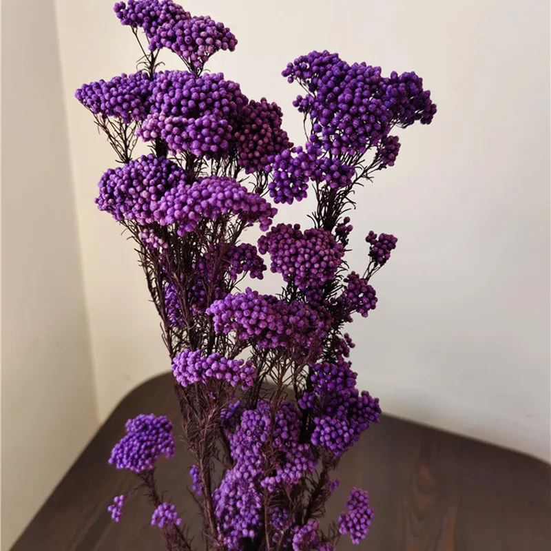 

50g Natural Millet Fruit Dried Flower Party Decoration Wedding Bouquet For Wholesale Artificial Flowers Christmas Supplies