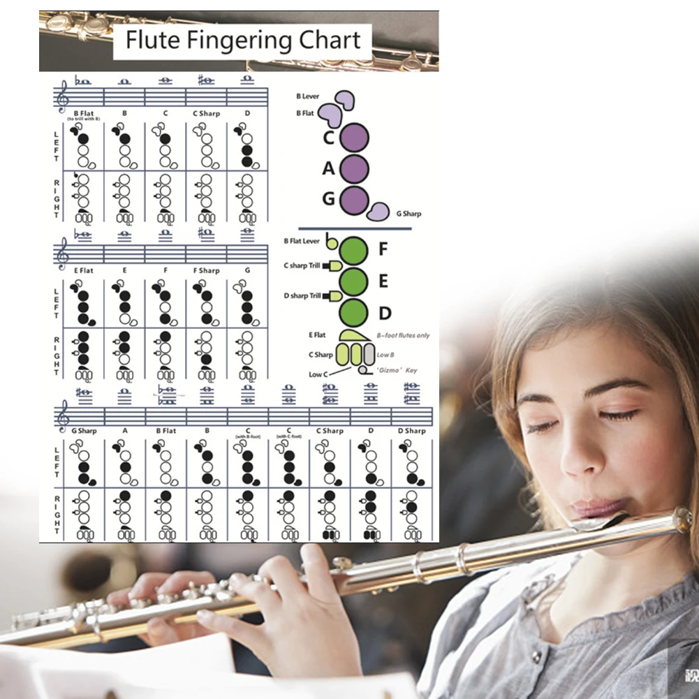 

Flute Fingering Chord Chart Beginner Practice Teaching Aids Instrument Large Chord Chart Poster For Flute Students