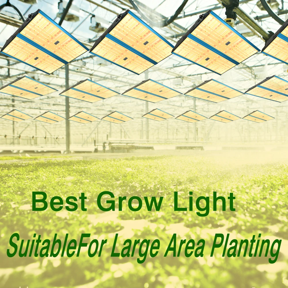 LED Grow Light полный спектр 3000K 5000K Samsung LM301B светодиодные лампы для растений парниковая