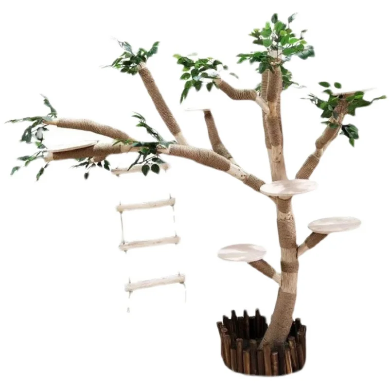 

Best Cat Trees