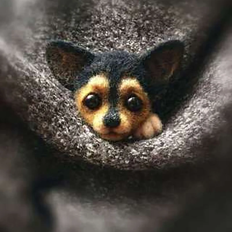 Women /men Pocket Animal Pet Doll Toy Wool Needle Felting Kit DIY Non Finished Dog Cat Fox Head Decor | Дом и сад